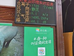 -野象谷景区