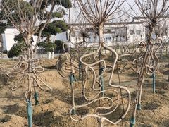 -武汉紫薇都市田园