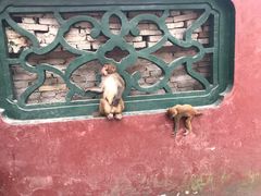 -黔灵山公园-南门售票处