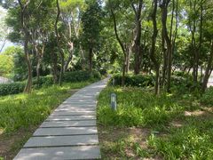 -深圳湾公园(南山区)