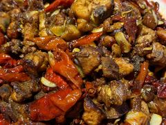 -柴窝堡22号辣子鸡·传承新疆菜