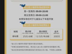 -迪士尼乐园停车场
