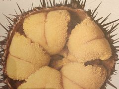 -常鲜楼常来尝鲜海胆馆(星海店)