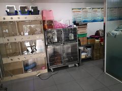 -宠宠动物医院(金鸡岭街店)