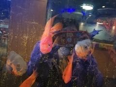 -海底捞火锅(上元大街店)