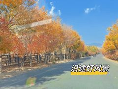 -鹫峰国家森林公园