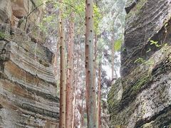 -梭布垭石林景区