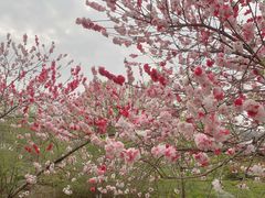 -南山风景名胜区