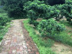 -南国桃园旅游度假区