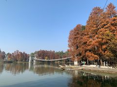 -东湖落雁景区