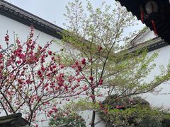 -胡雪岩故居