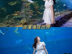 -华夏文旅西安度假区