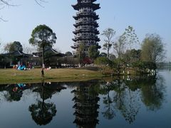 -洋湖国家湿地公园