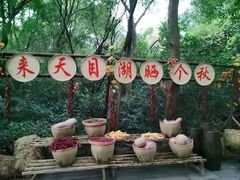-天目湖山水园
