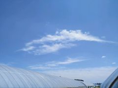 -庞各庄西瓜蔬菜采摘园·锦华瓜园