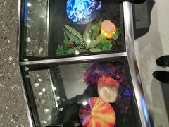 -K11 Design Store