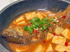 -羊瑞堂·横山炖羊肉·陕菜(未央路旗舰店)