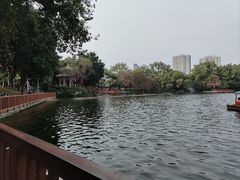 -荔湾湖公园