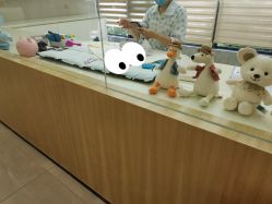 -宝生月子中心·独栋独院式(南山店)