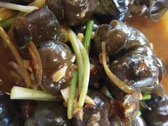 炒田螺-生态苑农庄(十里画廊遇龙河店)