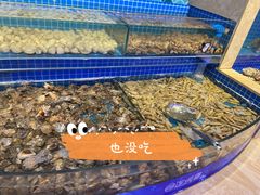 水产区-乔哥铭洋海鲜自助(皇城恒隆广场店)