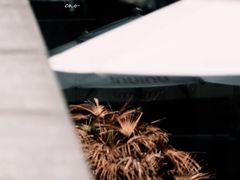 -UNIUNI(凯瑟琳广场店)