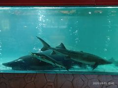 -年辉渔村·非遗传承餐厅(新丰江店)