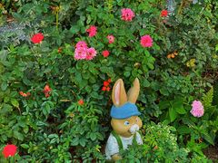 -人民公园(罗湖区)