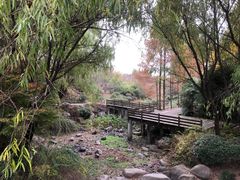 -宝界山林公园