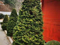 -石岛赤山风景区