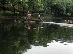-深圳龙潭公园