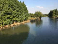 -九里河湿地公园