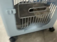 -半岛宠物医院24小时(白果林店)