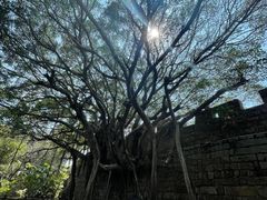 -东山风动石景区