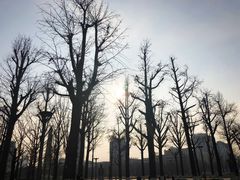 -百林公园-两江幸福广场