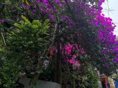 -左耳·采耳文化生活体验馆(磁器口正街店)