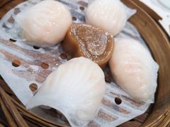 -赏点粤式点心(广州塔店)