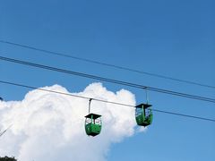 -野象谷景区