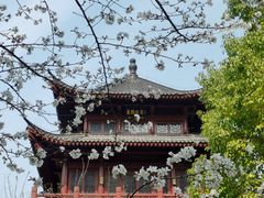 -堤角公园