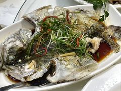-日日香卤鹅饭店·澄海狮头鹅(澄海店)