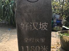 景点-梧桐山风景名胜区