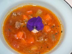 俄罗斯罗宋汤-阿妮叶李(光谷世界城店)