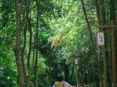 -凤城河风景区