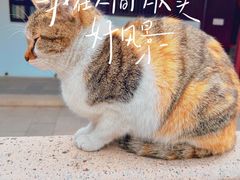 -西园寺素食(西园弄戒幢律寺店)