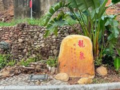 -国恩寺
