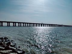 -宝安西湾红树林湿地公园