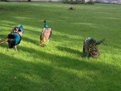 iphone_upload_pic-西昌邛海宾馆