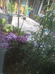 点击看大图 -爱儿美儿童摄影(朝阳公园店)