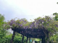 -白马涧龙池景区