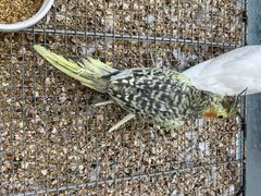 -万达广场(南京江宁店)